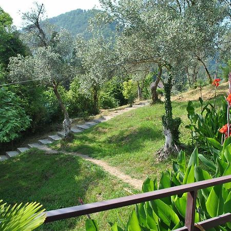 New Athos Villa Oliva المظهر الخارجي الصورة